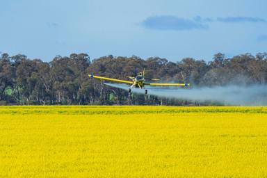 Cropping For Sale - NSW - Barmedman - 2668 - Institutional-scale dryland cropping Portfolio  (Image 2)
