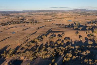 Lifestyle Sold - NSW - Mudgee - 2850 - 'DARTHULA' (Image 2)
