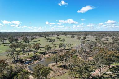 Mixed Farming For Sale - NSW - Inverell - 2360 - VENTURA - 2,223ac GRAZING PROPERTY  (Image 2)