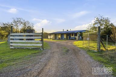 House For Sale - TAS - St Helens - 7216 - Peaceful Rural Retreat with Expansive Views on 15 Acres (Image 2)