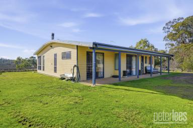 House For Sale - TAS - St Helens - 7216 - Peaceful Rural Retreat with Expansive Views on 15 Acres (Image 2)