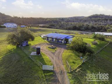 House For Sale - TAS - St Helens - 7216 - Peaceful Rural Retreat with Expansive Views on 15 Acres (Image 2)