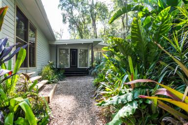 House For Lease - QLD - Doonan - 4562 - Tree Top Family Home in Tranquil Doonan  (Image 2)