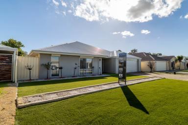 House For Sale - WA - Dalyellup - 6230 - SPACIOUS FAMILY LIVING WITH ROOM FOR EVERYONE!  (Image 2)