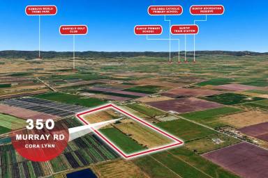 Other (Rural) For Sale - VIC - Cora Lynn - 3814 - PRIME PEAT LAND - A PERFECT HORTICULTURAL AND LIFESTYLE OPPORTUNITY  (Image 2)