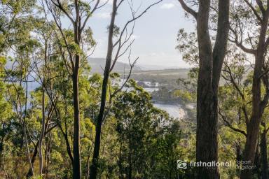 Residential Block For Sale - TAS - Great Bay - 7150 - Elevated Coastal Living with Sweeping Channel Views  (Image 2)