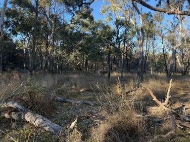 Residential Block For Sale - QLD - Glen Aplin - 4381 - Your own Private natural bushland only minutes South of Stanthorpe  (Image 2)