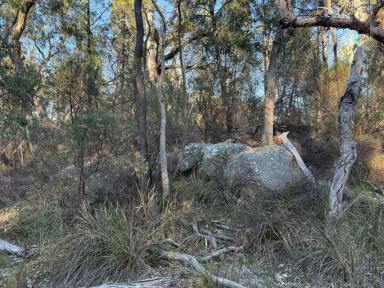 Residential Block For Sale - QLD - Glen Aplin - 4381 - Your own Private natural bushland only minutes South of Stanthorpe  (Image 2)