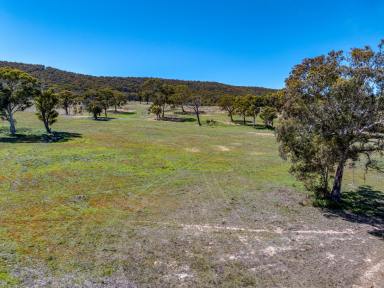 Lifestyle For Sale - NSW - Goulburn - 2580 - C3 Environmental Management zoning opportunity to secure an affordable parcel of land in a growing area on the edge of town (Image 2)