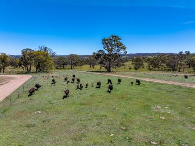 Lifestyle For Sale - NSW - Goulburn - 2580 - C3 Environmental Management zoning opportunity to secure an affordable parcel of land in a growing area on the edge of town (Image 2)