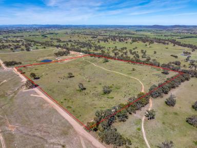 Lifestyle For Sale - NSW - Goulburn - 2580 - Affordable Land Opportunity in a Growing Location (Image 2)