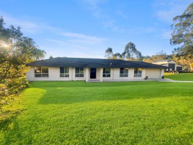 House For Sale - NSW - Kyogle - 2474 - Spacious Family Living on 3.46 Acres – Just 5 Minutes from Town  (Image 2)