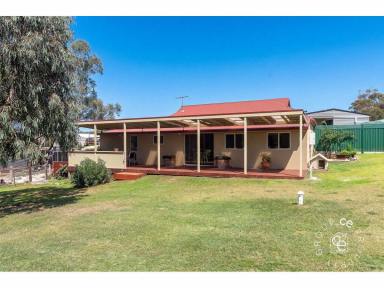 House For Sale - SA - Purnong - 5238 - A Charming Country Cottage on two Freehold Titles  (Image 2)