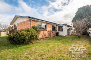 House For Sale - NSW - Glen Innes - 2370 - A Smart Investment or Ideal First Home (Image 2)