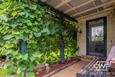 House For Sale - NSW - Glen Innes - 2370 - A Smart Investment or Ideal First Home (Image 2)