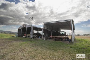 Mixed Farming For Sale - QLD - Laidley South - 4341 - Prime 45-Acre Irrigation Farm in the Mulgowie Valley  (Image 2)