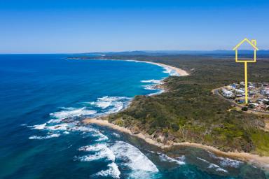 Residential Block For Sale - NSW - Minnie Water - 2462 - EXTREMELY RARE VACANT ALLOTMENT - MINNIE WATER - NORTHERN RIVERS  (Image 2)