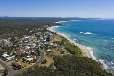 Residential Block For Sale - NSW - Minnie Water - 2462 - EXTREMELY RARE VACANT ALLOTMENT - MINNIE WATER - NORTHERN RIVERS  (Image 2)