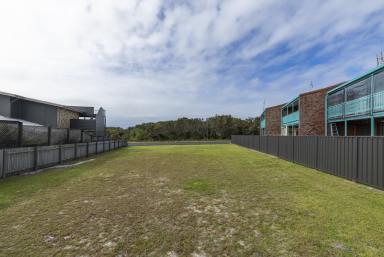 Residential Block For Sale - NSW - Minnie Water - 2462 - EXTREMELY RARE VACANT ALLOTMENT - MINNIE WATER - NORTHERN RIVERS (Image 2)