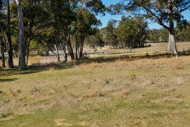 Lifestyle For Sale - NSW - Torrington - 2371 - ONCE A JOLLY SWAGMAN  (Image 2)