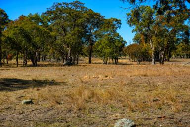 Lifestyle For Sale - NSW - Torrington - 2371 - ONCE A JOLLY SWAGMAN  (Image 2)