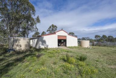 Lifestyle For Sale - NSW - Lawrence - 2460 - LIFESTYLE, SPACE & ENDLESS POTENTIAL  (Image 2)
