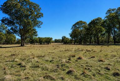 Lifestyle For Sale - NSW - Torrington - 2371 - GIDDY UP !  (Image 2)
