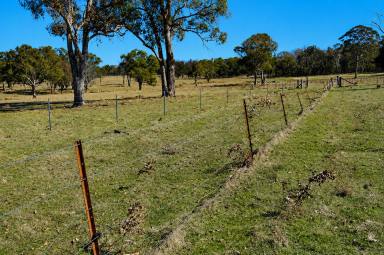 Lifestyle For Sale - NSW - Torrington - 2371 - GIDDY UP !  (Image 2)