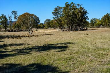 Lifestyle For Sale - NSW - Torrington - 2371 - GIDDY UP !  (Image 2)