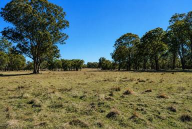 Lifestyle For Sale - NSW - Torrington - 2371 - GIDDY UP ! (Image 2)