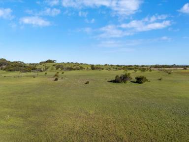 Residential Block For Sale - SA - Marion Bay - 5575 - Rural Living 5 Acre's of Coastal Living * Escape City Living *  (Image 2)
