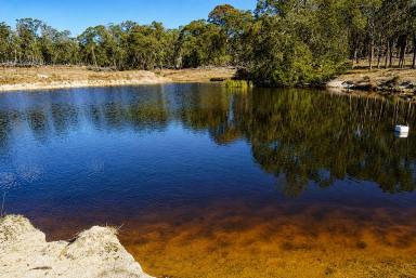 Lifestyle For Sale - NSW - Red Range - 2370 - A Rare Opportunity to Secure a Private 320-Acre Property  (Image 2)