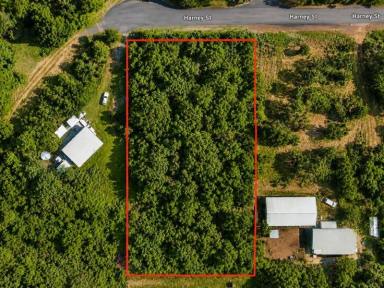 Residential Block For Sale - NT - Wagait Beach - 0822 - BUILD YOUR TERRITORY LIFESTYLE ON 3,891M² OF NATURAL BUSHLAND  (Image 2)