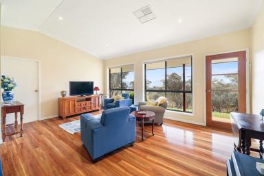 Lifestyle Auction - NSW - Tamworth - 2340 - PICTURE PERFECT SMALL ACREAGE (Image 2)