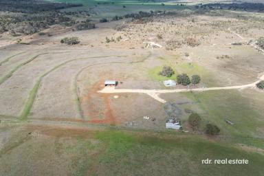 Mixed Farming For Sale - NSW - Ashford - 2361 - 'MOUNTAIN VIEW' (Image 2)