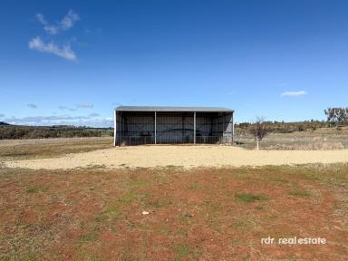 Mixed Farming For Sale - NSW - Ashford - 2361 - 'MOUNTAIN VIEW' (Image 2)