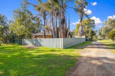 Lifestyle Auction - NSW - Tamworth - 2340 - CURRAWONGA - ACRES ON THE EDGE OF TOWN WITH SIGNIFICANT UPSIDE  (Image 2)