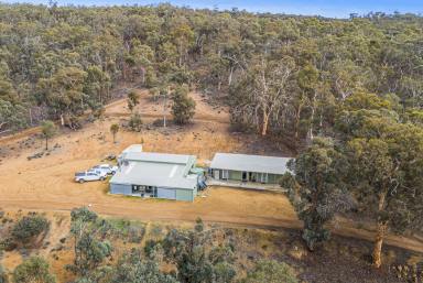 Residential Block Auction - WA - Crossman - 6390 - ULTIMATE RURAL GETAWAY!!  (Image 2)