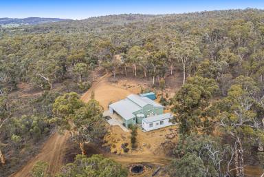 Residential Block Auction - WA - Crossman - 6390 - ULTIMATE RURAL GETAWAY!!  (Image 2)