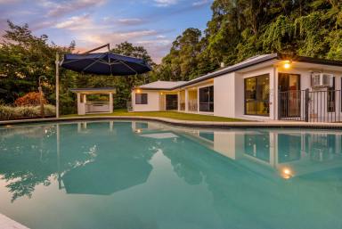 House For Sale - QLD - Mossman - 4873 - MODERN HOME ON 4 ACRES WITH VIEWS.....PLUS HUGE POOL AND SHED!  (Image 2)