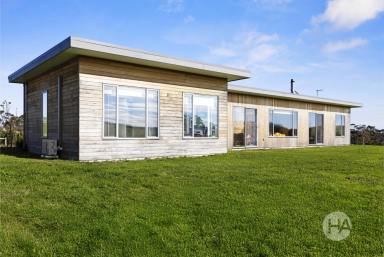 Mixed Farming For Sale - VIC - The Gurdies - 3984 - Prestigious 51-Acre Lifestyle, Horse & Stud Property  (Image 2)