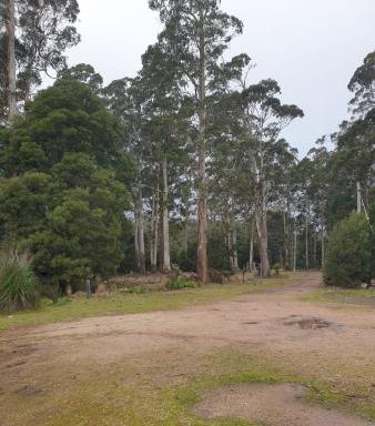 House For Sale - TAS - Nook - 7306 - "Heavens Gate" - Private 4.16ha Retreat with Breathtaking Mt Roland Views (Image 2)