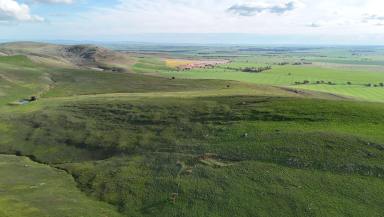 Mixed Farming For Sale - SA - West Bundaleer - 5491 - Outstanding Mixed Farming Opportunity with Secure Turbine Income  (Image 2)