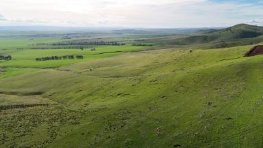 Mixed Farming For Sale - SA - West Bundaleer - 5491 - Outstanding Mixed Farming Opportunity with Secure Turbine Income  (Image 2)