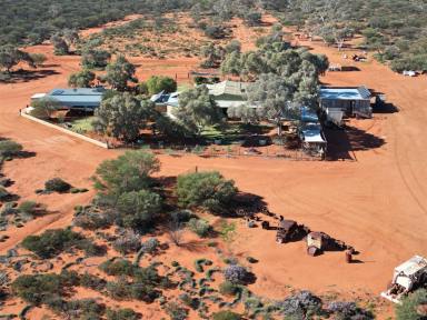 Other (Rural) For Sale - WA - Sandstone - 6639 - Barrambie Station, Sandstone - An Extraordinary Opportunity Awaits  (Image 2)