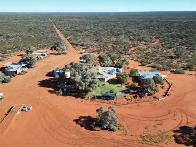 Other (Rural) For Sale - WA - Sandstone - 6639 - Barrambie Station, Sandstone - An Extraordinary Opportunity Awaits  (Image 2)