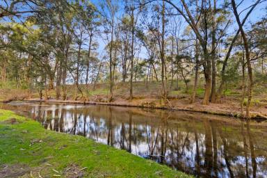 Acreage/Semi-rural For Sale - NSW - Mudgee - 2850 - 'She-Oaks' – RIVERSIDE RURAL LIVING (Image 2)