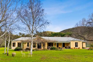 Acreage/Semi-rural For Sale - NSW - Mudgee - 2850 - 'She-Oaks' – RIVERSIDE RURAL LIVING (Image 2)
