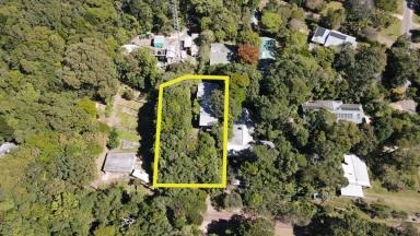 House For Sale - QLD - Paluma - 4816 - MOUNTAIN SANCTUARY LIVING!  (Image 2)