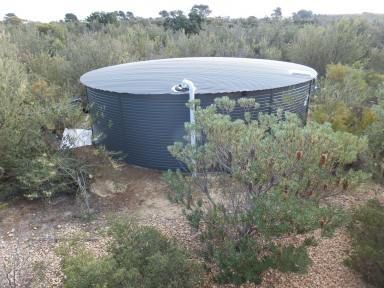 House For Lease - WA - Hopetoun - 6348 - Spacious Family Home in quiet bush setting  (Image 2)